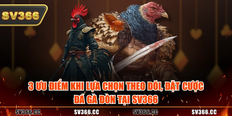 3 ưu điểm khi lựa chọn theo dõi, đặt cược đá gà đòn tại SV366