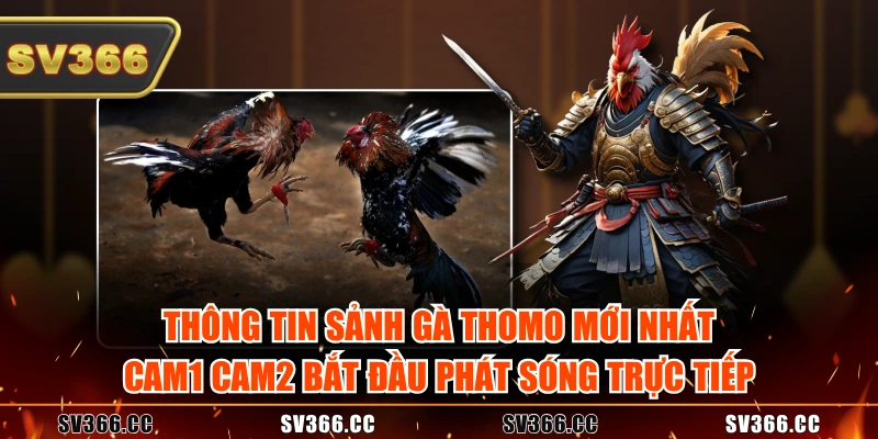Thông tin Sảnh gà Thomo mới nhất, Cam1 Cam2 bắt đầu phát sóng trực tiếp