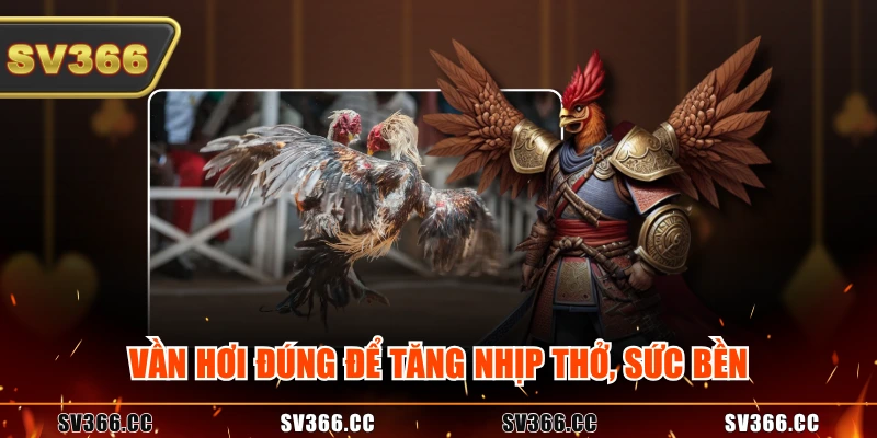 Vần hơi đúng để tăng nhịp thở, sức bền Vần hơi đúng để tăng nhịp thở, sức bền
