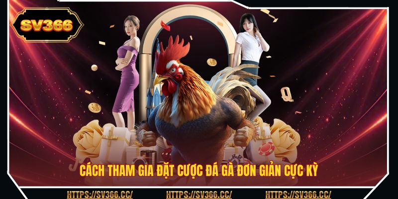 Cách tham gia đặt cược đá gà đơn giản cực kỳ Cách tham gia đặt cược đá gà đơn giản cực kỳ
