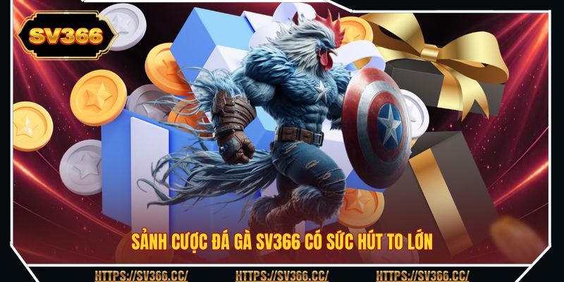 Sảnh cược đá gà SV366 có sức hút to lớn Sảnh cược đá gà SV366 có sức hút to lớn