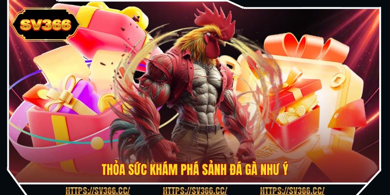 Thỏa sức khám phá sảnh đá gà như ý Thỏa sức khám phá sảnh đá gà như ý